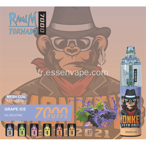 Good Vape Randm Tornado 7000puffs France Vente chaude